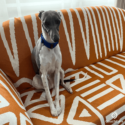 Orange Patterned