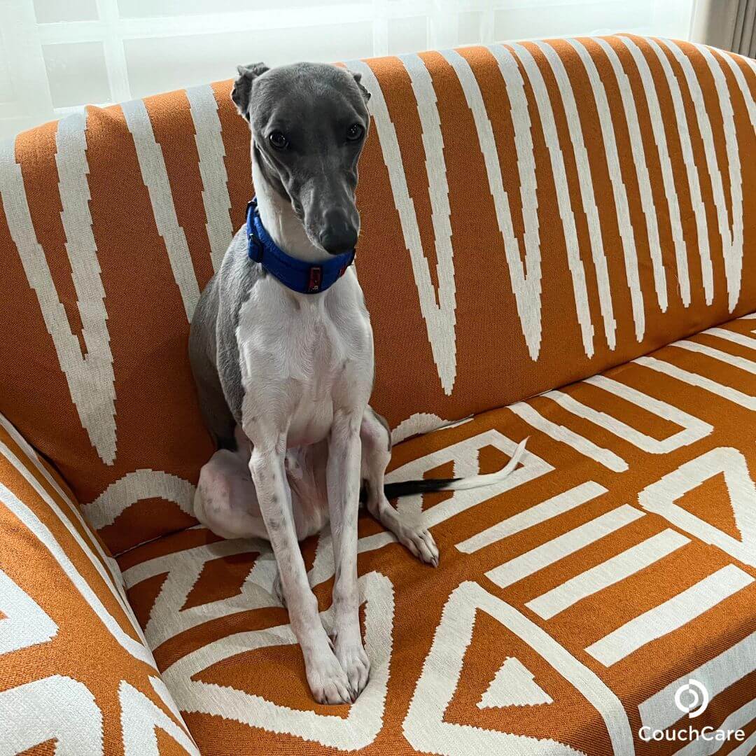 Orange Patterned